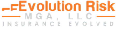 Logo de eEvolution Risk